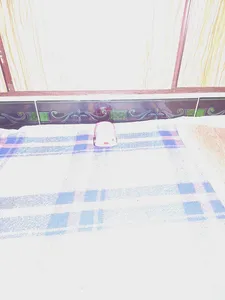 تجریه خرید گوشی موبایل داریا مدل bond 5G دو سیم کارت ظرفیت 256 گیگابایت و رم 8 گیگابایت