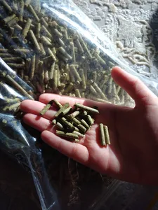 تجریه خرید غذای خرگوش یادگار مدل Pelleted وزن 1 کیلوگرم