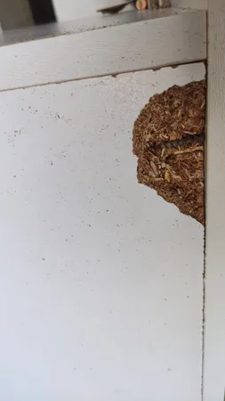 میز تلویزیون دیواری مدل FH245