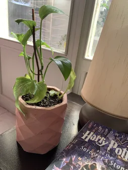 گلدان مدل S-PL-04A