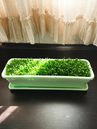 گلدان مدل پلاستیکی مستطیلی کد 603