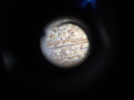 میکروسکوپ جیبی مدل 9592