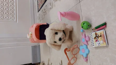 اسباب بازی مدل سگ و قفس کد 315 مجموعه 7 عددی