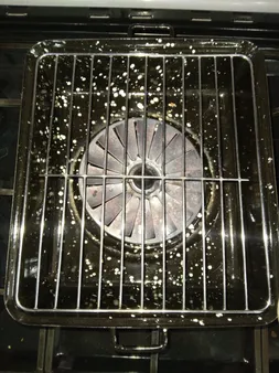 کباب پز روگازی صبا مدل رعنا