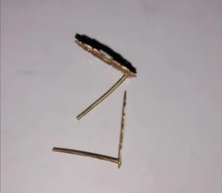 گوشواره طلا 18 عیار زنانه کرابو طرح گل مدل Kr5113