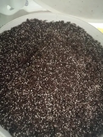 کوکوپیت و پیت ماس رویش مدل CC-MAS-3k کد Pack-01 مجموعه 3 عددی