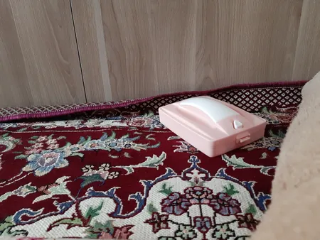 جارو دستی بازن مدل n06