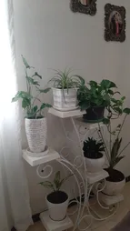 استند گلدان مدل ترنج شش عددی مونتاژی