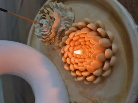 قالب شمع مدل گل داوودی