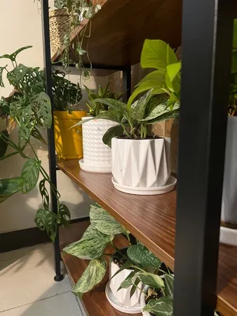 کتابخانه دیزم مدل LIB-00A58-120BRN