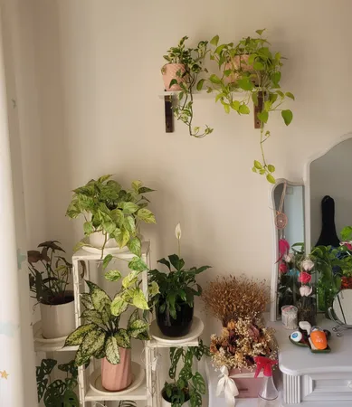 شلف دیواری مدل SW01