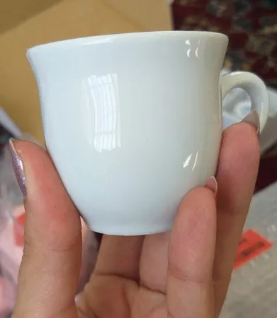 ست فنجان و نعلبکی 12 پارچه شرکت صنایع چینی تقدیس مدل RL60