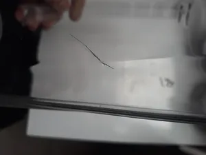 تجریه خرید پارچ تصفیه آب یزدگل کد 121 - گنجایش 2.3 لیتر