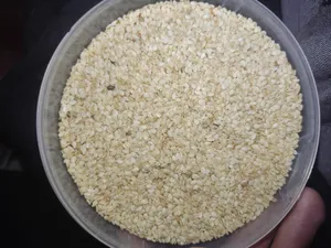 تجریه خرید کنجد سفید پوست کنده مهسان - 300 گرم