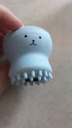 برس پاک‌سازی مدل B 0101