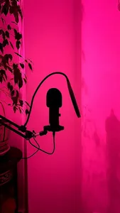 تجریه خرید میکروفن کندانسر مائونو مدل AU-PM422