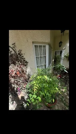 خاک گلدان گیلدا کد GK30L حجم 30 لیتر