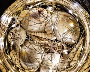 تجریه خرید جا ادویه ای پاشاباغچه مدل کیچن کد 95104