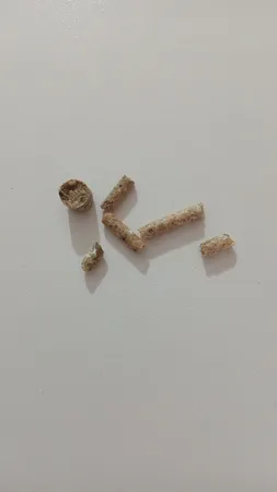 غذای پلت کامل خرگوش یادگار مدل 3314 وزن 1000 گرم