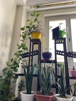 استند گلدان مدل Mtf5