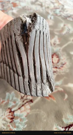 کفش مخصوص دویدن سارزی مدل ُS.K_2