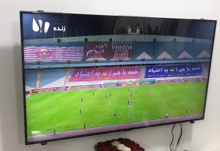 محافظ صفحه نمایش تلویزیون مدل SP-50 مناسب برای تلویزیون های 50 اینچی