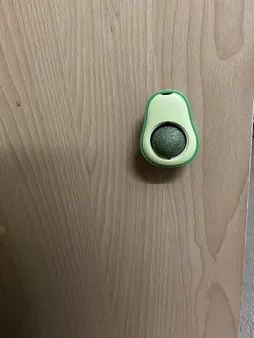 تشویقی دندانی گربه مدل آبنبات کت نیپ دار avo01