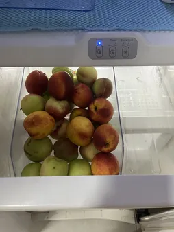 سبد نظم دهنده مرسه کد 1114