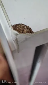 تجریه خرید دراور مدل BD5