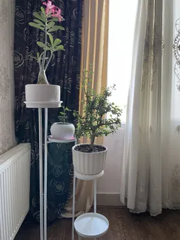 استند گلدان مدل پیچک