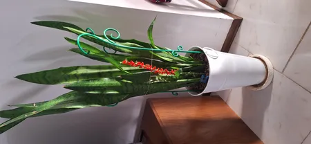 نگهدارنده گیاه مدل gh-1 بسته چهار عددی