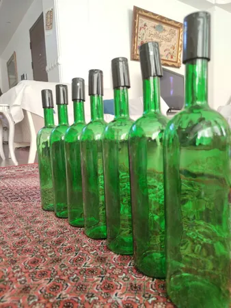 بطری مدل Splus به همراه کاپ سیل و چوب پنبه