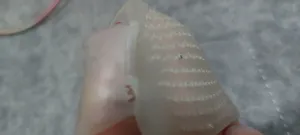 تجریه خرید پد سینه پا اسپنکو ژل مدل F1