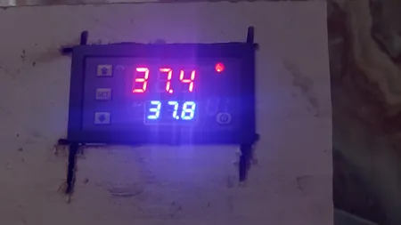 ترموستات کنترلر دما مدل W3230