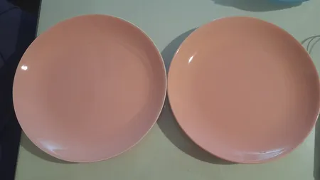 بشقاب غذاخوری مدل دیانا NB24