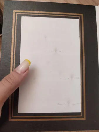 آلبوم عکس کد 1565