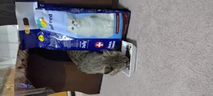 تجریه خرید غذای خشک گربه مفید مدل ADULT1400 وزن 2 کیلوگرم