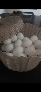 تجریه خرید سبد نان و سبزی مدل نفیس