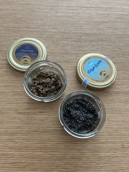 خاویار بری میراث خاویار کاسپین ایرانیان - 50 گرم