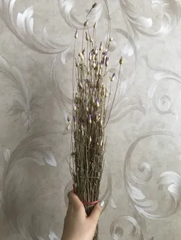 گل خشک مدل ستاره ای