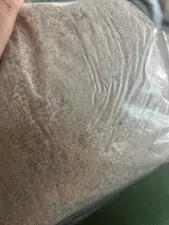 تجریه خرید غذای پرندگان مدل گندم مرغی وزن 2 کیلوگرم