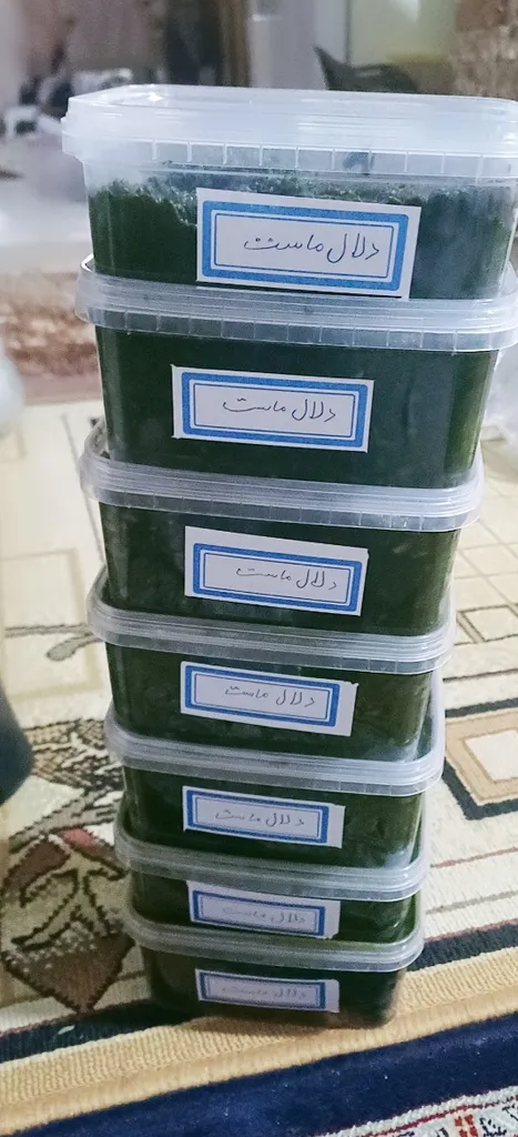 ظرف نگهدارنده پولاد پویش مدل فریزری و ماکروویوی کد 202 مجموعه 17 عددی