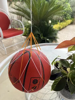 تور حمل توپ مدل پروفشنال کد 313-1