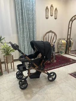 کالسکه دلیجان مدل بنیتا بدنه مسی