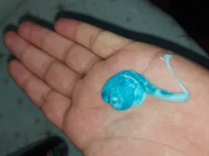 تجریه خرید ژل اصلاح کاسپین مدل COMFORT مناسب انواع پوست حجم 200 میلی لیتر