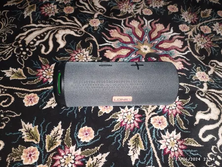 اسپیکر بلوتوثی الدینیو مدل BTS13 ضدآب