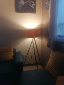 تجریه خرید آباژور ایستاده آس کرال وود مدل چرخشی  As-ch010