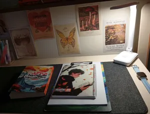 تجریه خرید چراغ مطالعه ویداسی مدل WD-6082Q