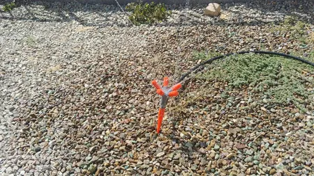 فواره 5 شاخه هامبورگ مدل H2115