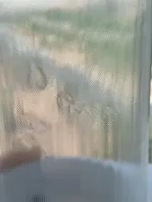 تجریه خرید جالیوانی آبسردکن بانی مدل341